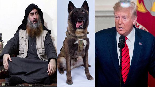 Hero dog Conan that helped kill Baghdadi meets Trump