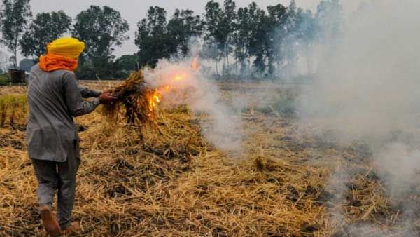 Delhi air quality: Share of stubble burning comes down