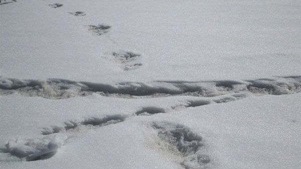 Researchers found ‘Ghost’ footprints hidden since the end of ice-age
