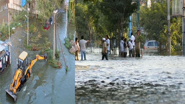 Negligence at Hulimavu Lake: Rajeev Chandrasekhar writes to CM, demands strict action