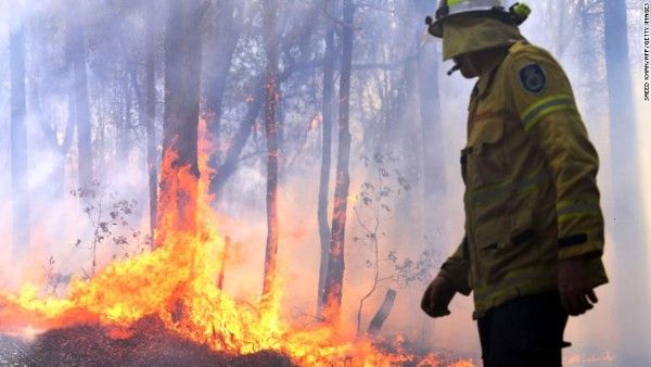 Most populous Australian state declares emergency due to wildfires