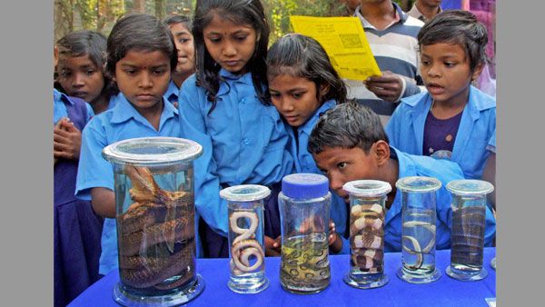 Chapter on snakes to be introduced in West Bengal secondary curriculum from 2020