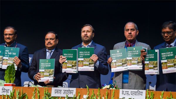 Total tree, forest cover in India increased by 5,188 sq km: Govt
