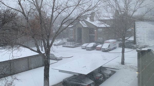 Relief as rain falls over Australian catastrophic bushfires