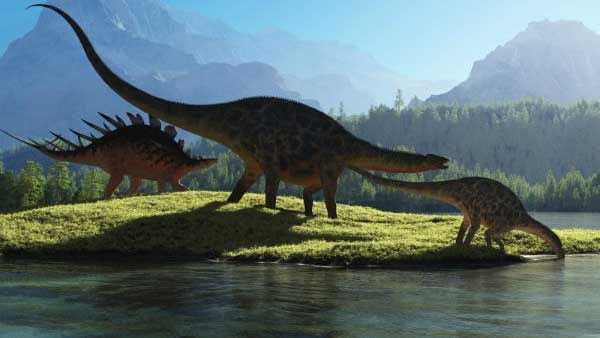 How a secret mission saved Australia's 'dinosaur trees' from bushfires