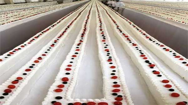 4.5-km long cake to be baked in Kerala's Thrissur on Jan 15