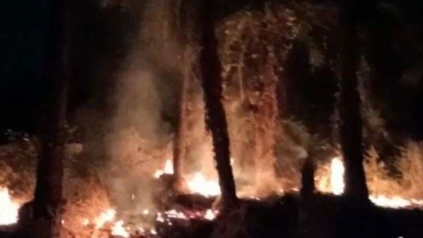 Fire breaks out in Vasai Fort, no casualty reported