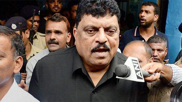 Tigers should be punished for eating cows says this NCP MLA