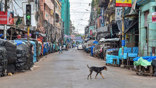 COVID-19 UPDATES: On day 2 of lockdown, online grocery firms resume services