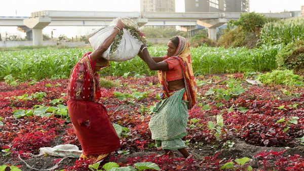 Activities allowed in India from April 20