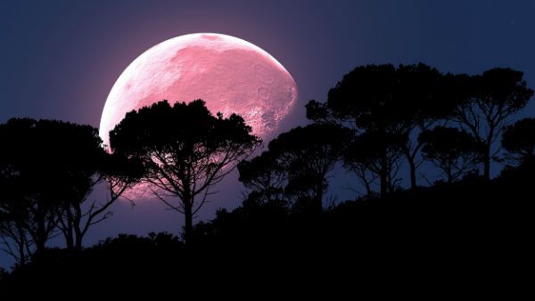What is a Super Pink Moon? Catch the brightest full moon in India on 8 April at 8.05 am