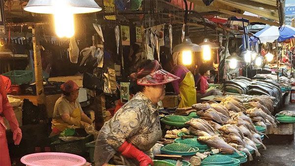 China's deadly 'Wet markets' are back, start selling bats, cats and pangolins amid Covid pandemic