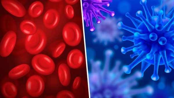 Which type of blood group affect COVID-19 ? Find out here
