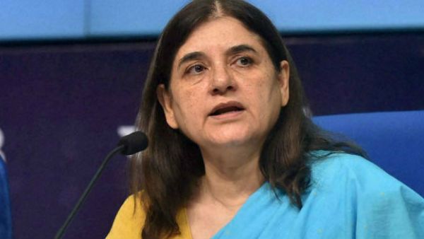 Lumpy virus-affected cows in open leading to fast spread of infection in Rajasthan: Maneka Gandhi