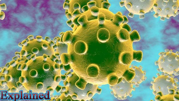 ‘Unknown pneumonia’ in Kazakhstan could be Covid-19, says WHO