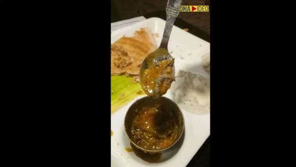 Viral: Man finds dead lizard in bowl of sambar; FIR registered against Delhi restaurant