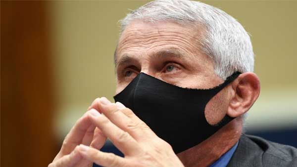 As cases surge, Fauci back at Capitol Hill