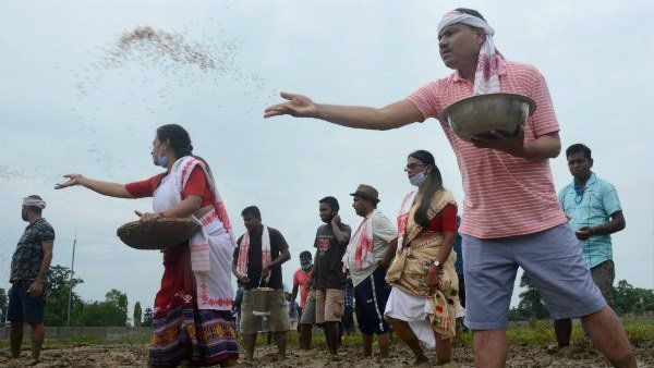 Centre alerts states, industry to be vigilant about 'mystery seed parcels'