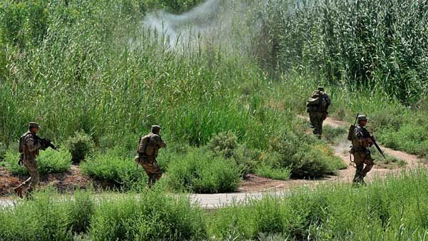Maoists’ explosive dump recovered in Chhattisgarh