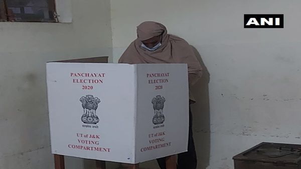 Jammu and Kashmir DDC elections 2020: 51 per cent voter turnout recorded; Counting on Dec 22