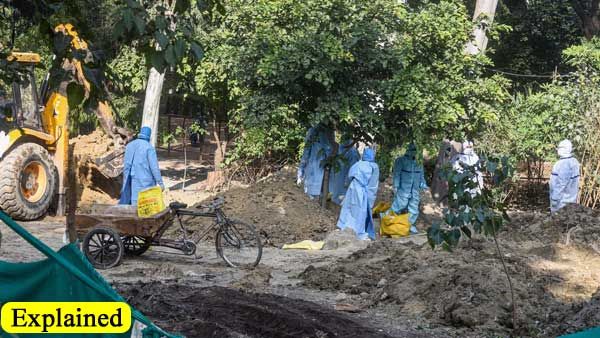 Explained: What is the Status of Avian Influenza in India