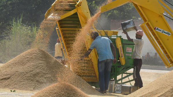 Explained: Why has India banned export of wheat