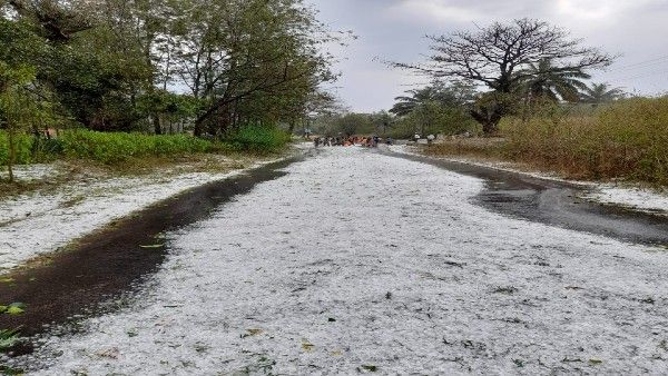 In pics: Hailstorm in parts of Karnataka's Kodagu district; Bengaluru rain takes city by surprise