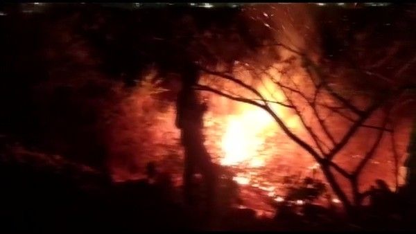 Bengaluru: Fire breaks out near Bellandur lake, triggers panic