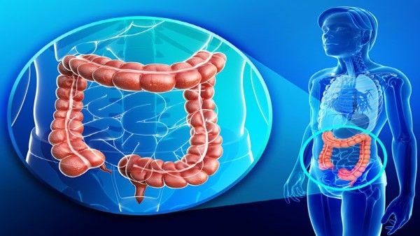 Drug for common inflammatory bowel disease may blunt COVID-19 vaccine response: Study