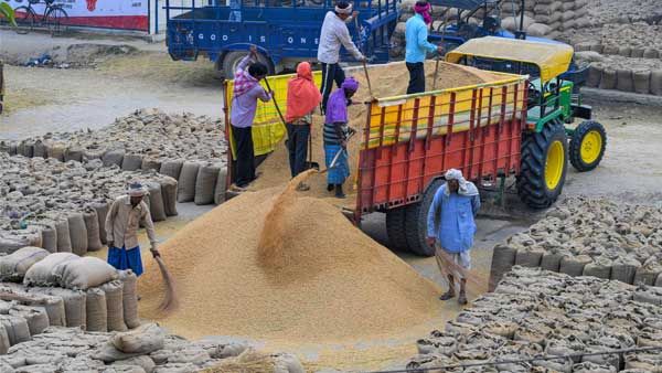 Farm labourers in Punjab administered drugs to work longer: MHA in letter to state