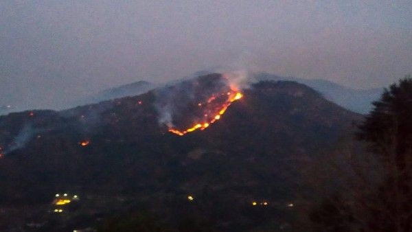 Uttarakhand forest fire: 62 hectares of land gutted in Nainital; Centre deploys NDRF choppers