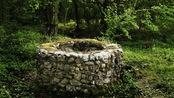 Catholic nun found dead inside well in Kerala convent