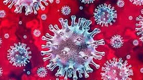 Covid-induced black fungus cases reported in Delhi hospital