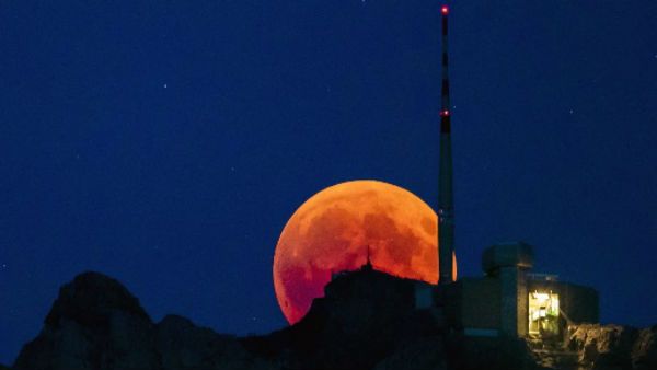 June 10 is special day: Ring of Fire Solar Eclipse coinciding with Vat Savitri, Shani Jayanti