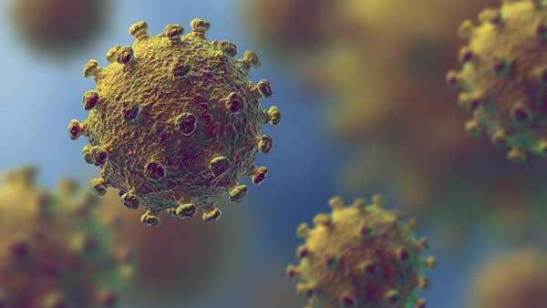 Green fungus: 34-year-old COVID-19 survivor infected, airlifted to Mumbai from Indore for treatment