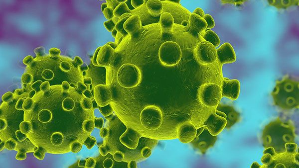 What is green fungus infection? How does it spread? Symptoms and treatment