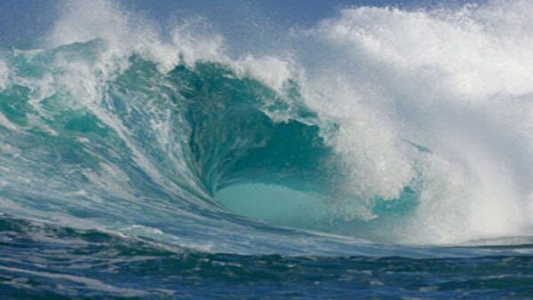 World Ocean Day 2021: Date, Theme, Quotes, WhatsApp Status About Importance of The Ocean