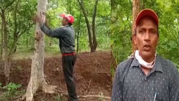 How this activist is using God to save trees: Watch