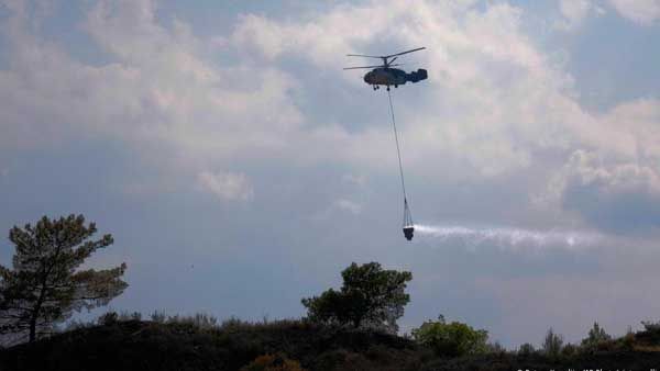 Cyprus forest fire under control after international mission