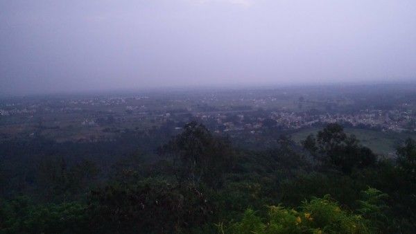 Student allegedly gangraped, friend beaten up near Chamundi Foothills in Mysuru; No arrests yet