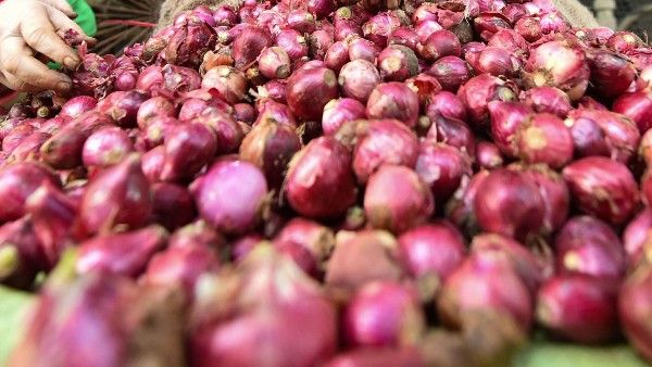 What is Salmonella outbreak? Over 650 People fall ill in US due to disease linked to raw onions