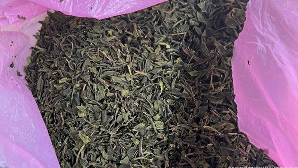 German officials seize 1.2 tons of banned stimulant khat