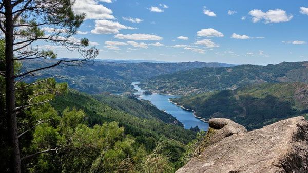 Passive rewilding: 'If you love it, set it free'