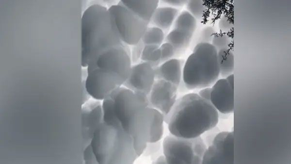 Rare cotton ball-like clouds spotted over Argentina: What are mammatus clouds?