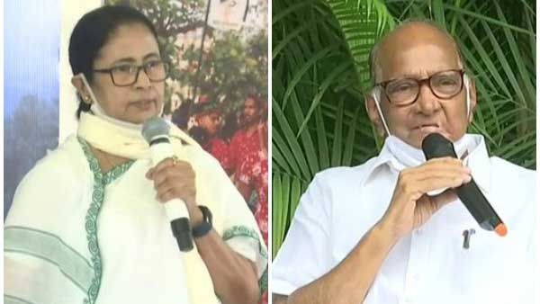 West Bengal CM Mamata Banerjee to meet NCP supremo Sharad Pawar today