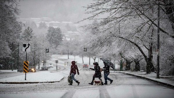 Canada-US border: Gujarati family of four, including infant, freeze to death; man charged with human smuggling