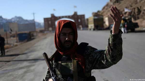 LGBTQ Afghans face growing abuse by Taliban: report