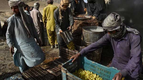 IMF approves $1 billion loan for Pakistan