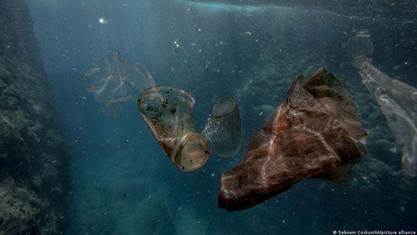 Plastic pollution affects 88% of marine species: WWF
