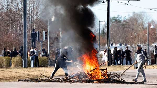 Explained: Why Sweden witnessing violent riots? What we know so far